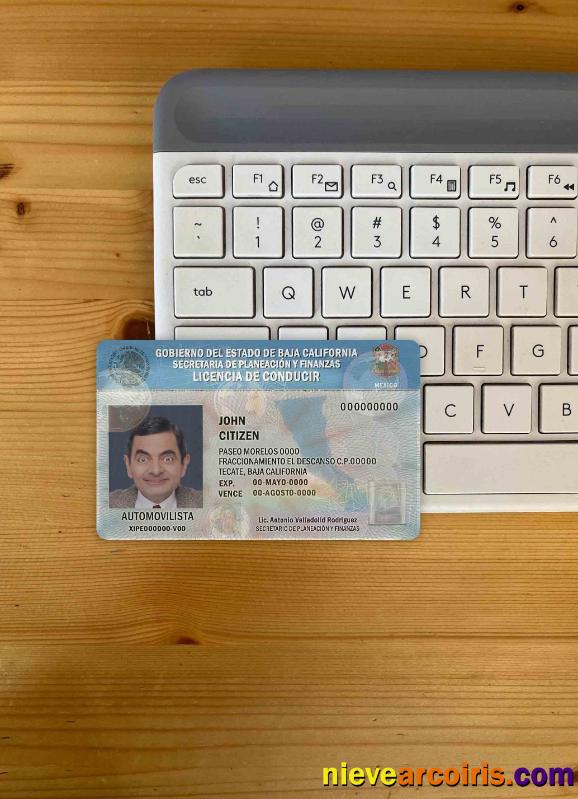 Mexico Baja California driving license photolook